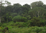 vente-de-terrain-agricole-small-1