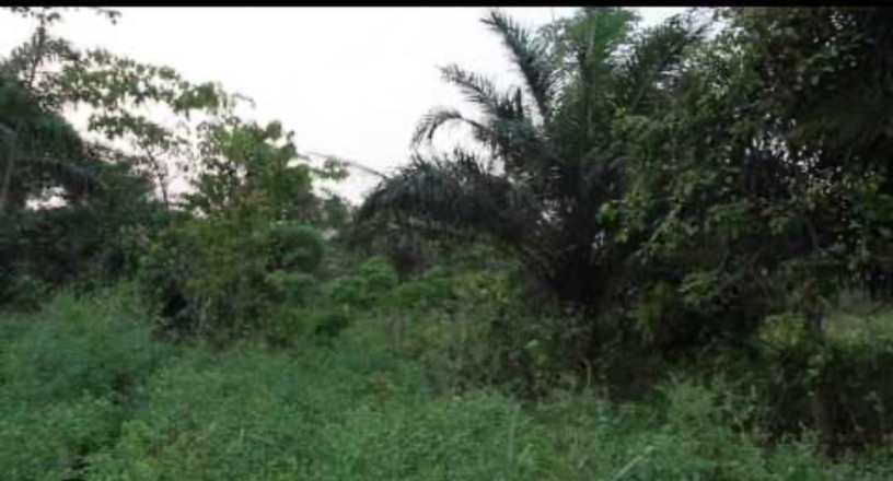 vente-de-terrain-agricole-big-0