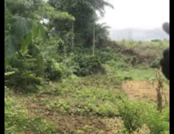 Occasion de site à Attinguié