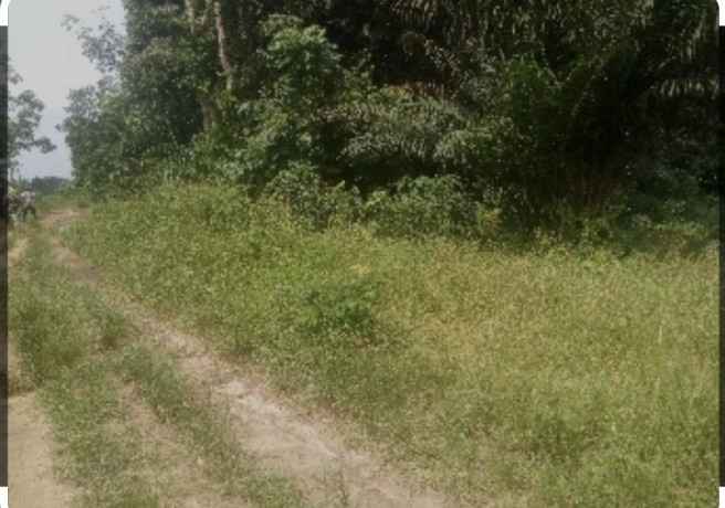 occasion-de-site-a-attinguie-big-1