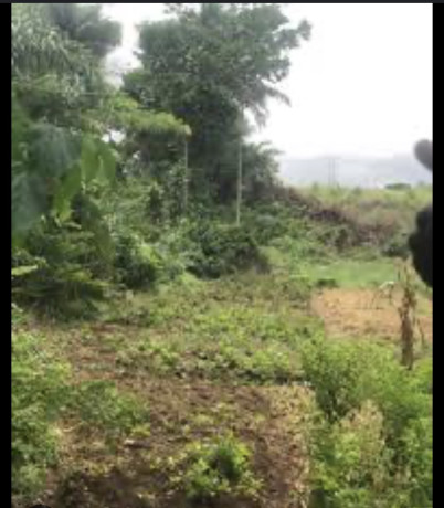 occasion-de-site-a-attinguie-big-0