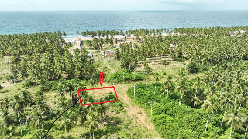 vente-de-terrain-1000m2-jacqueville-cote-mer-big-0