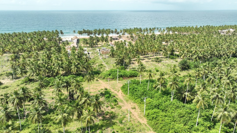 vente-de-terrain-1000m2-jacqueville-cote-mer-big-1