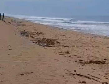 Promotion à jacqueville