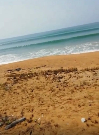 bonne-offre-du-siecle-big-0