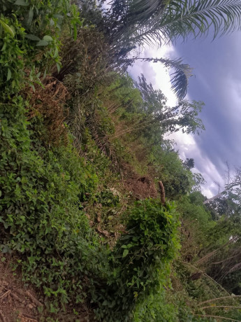 opportunite-a-saisir-big-2