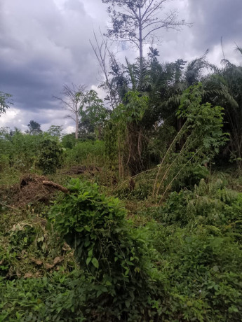 opportunite-a-saisir-big-1