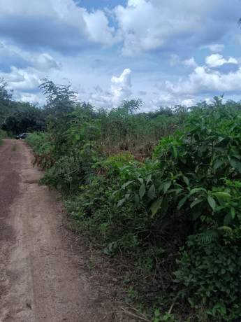 opportunite-a-saisir-big-4