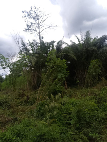 opportunite-a-saisir-big-3