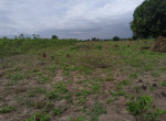terrain-en-vente-small-0