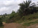 terrain-a-vendre-small-0