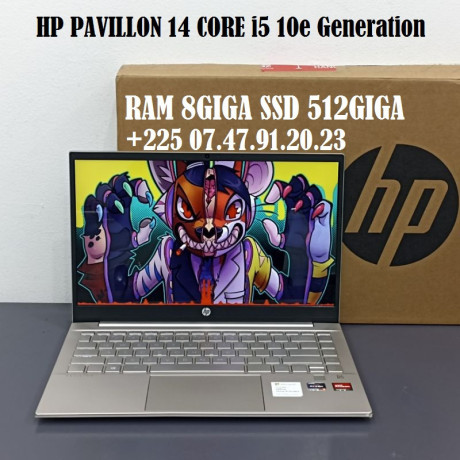 hp-pavilion-14-core-i5-10e-generation-225-0747912023-big-0