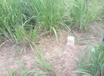 speciale-hectare-small-1