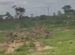 speciale-hectare-small-0
