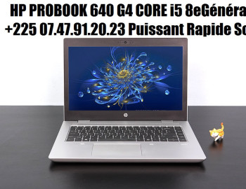 PUISSANT HP PROBOOK CORE i5 8eGeneration +225 0747912023