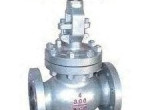 globe-valves-suppliers-in-kolkata-small-0