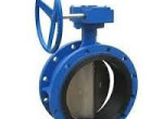 butterfly-valves-suppliers-in-kolkata-small-0