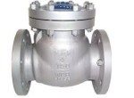 check-valves-in-kolkata-small-0