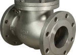 check-valves-dealers-in-kolkata-small-0