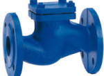 check-valves-suppliers-in-kolkata-small-0