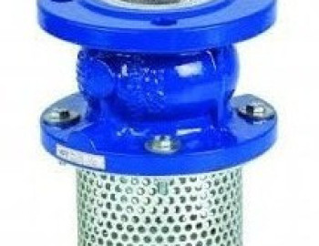 FOOT VALVES IN KOLKATA