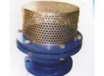 foot-valves-suppliers-in-kolkata-small-0