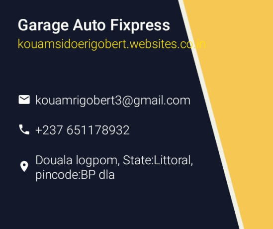 mecanicien-auto-multimarques-competent-disponible-big-0