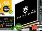 creation-de-site-web-logo-et-e-commerce-sur-mesure-en-afrique-small-1