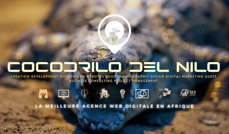creation-de-site-web-logo-et-e-commerce-sur-mesure-en-afrique-big-0