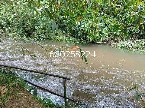 location-de-terrain-en-bordure-de-route-pour-vos-projets-agricoles-big-2