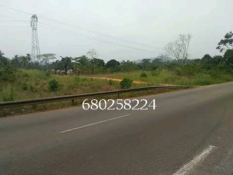 location-de-terrain-en-bordure-de-route-pour-vos-projets-agricoles-big-0