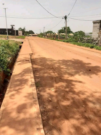 terrain-titre-a-quelques-metres-du-goudron-sis-a-tsinga-village-a-vendre-big-1