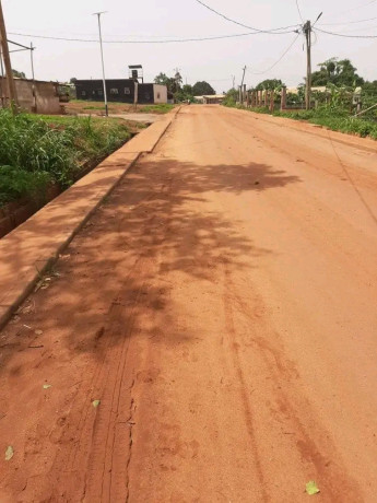 terrain-titre-a-quelques-metres-du-goudron-sis-a-tsinga-village-a-vendre-big-0