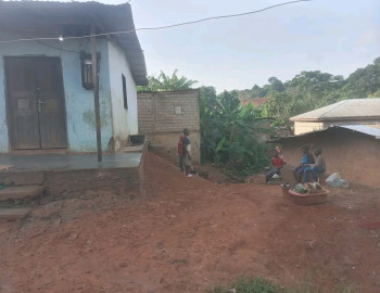 Des terrains à Maison non titré à vendre .