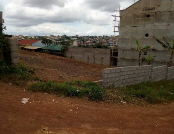 Terrain titré, derrière petit marché Odza (small ville) à vendre