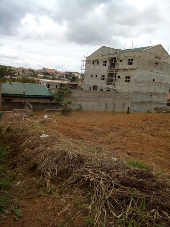 terrain-titre-derriere-petit-marche-odza-small-ville-a-vendre-big-2