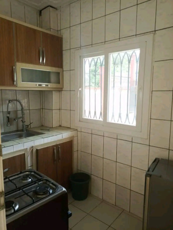 yaounde-fougerole-appartement-a-louer-big-4