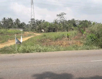 Terrain agricole de plus 200 hectares (non titré) à vendre