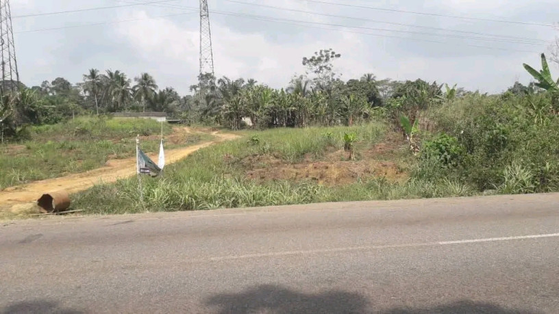 terrain-agricole-de-plus-200-hectares-non-titre-a-vendre-big-0