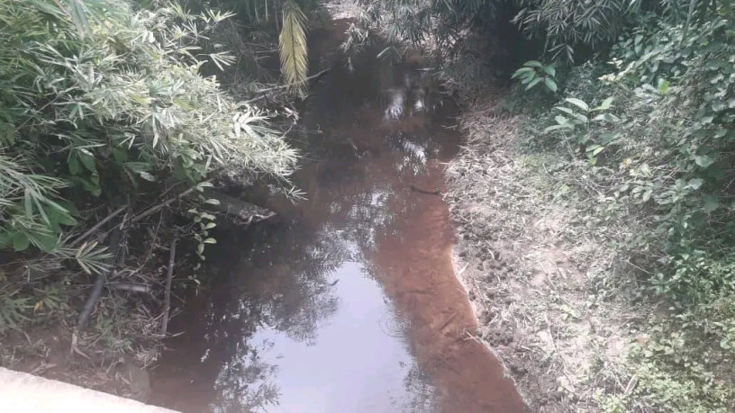 terrain-agricole-de-plus-200-hectares-non-titre-a-vendre-big-2