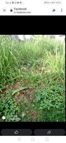 terrain-a-vendre-big-0