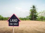 douala-pk27-entree-le-blanc-a-50-m-du-goudron-superficie-disponible-3000-m2-a-15-000-f-cfa-le-m2-small-0