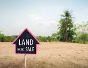 Douala Lendi, cartier general a 50 m de la route principale, superficie disponible 5000 m² à 20 000 F CFA le m².