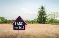 douala-lendi-cartier-general-a-50-m-de-la-route-principale-superficie-disponible-5000-m2-a-20-000-f-cfa-le-m2-big-0