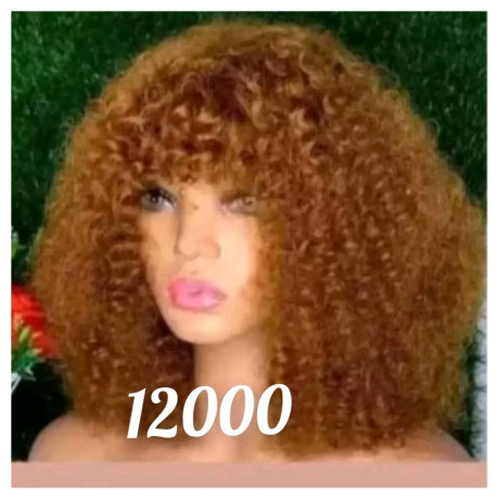 perruque-a-vendre-big-1