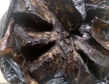 Savon noir et blanc la meilleure qualité