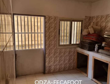 Appartement moderne à louer