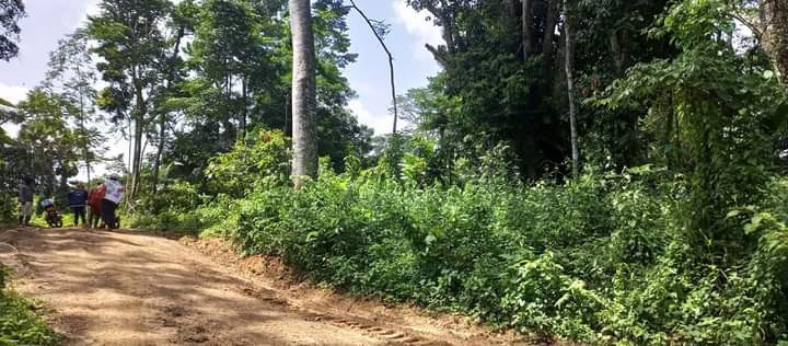 terrain-a-vendre-big-0