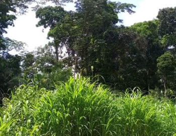 Terrain à vendre à NTUI