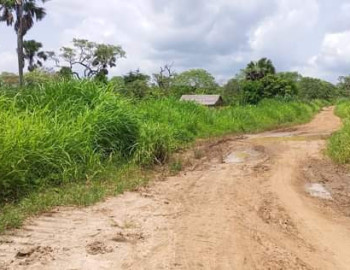 Terrains titrés à NKOZOA et AKAK
